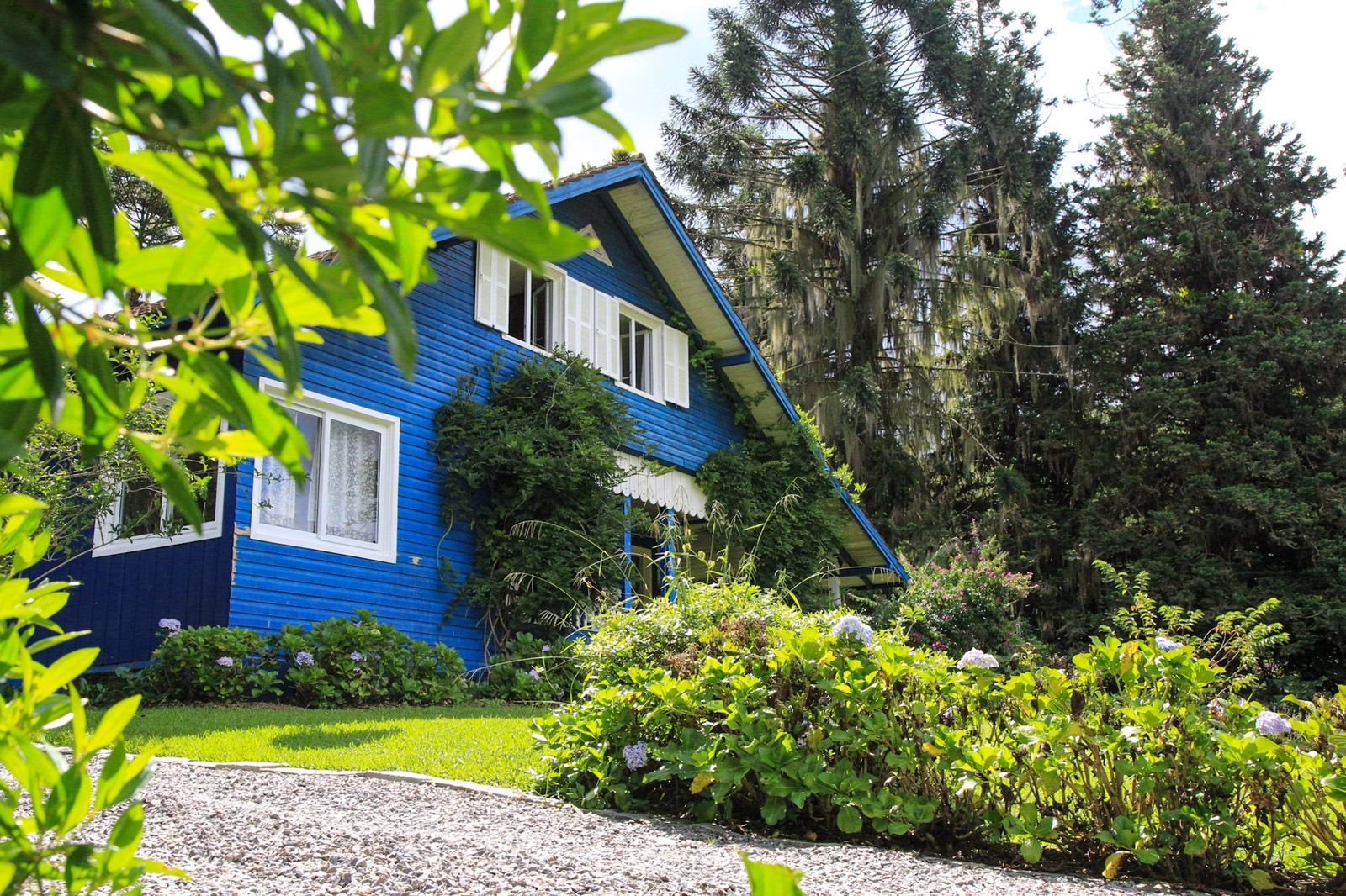 A casa azul entre as árvores, com hortênsias no jardim