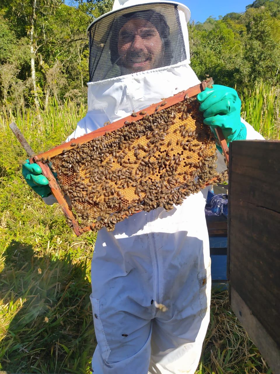 Alexandre segurando um quadro com abelhas na colheita